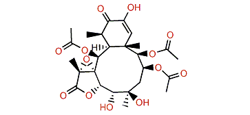 Briaexcavatolide X